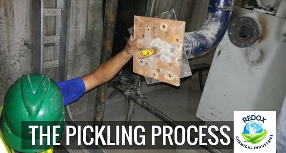 pickling process in the philippines