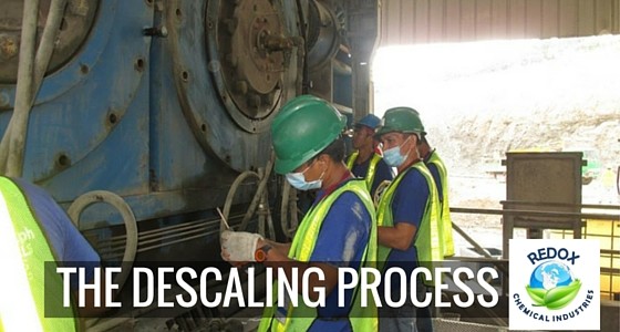 descaling process in the philippines
