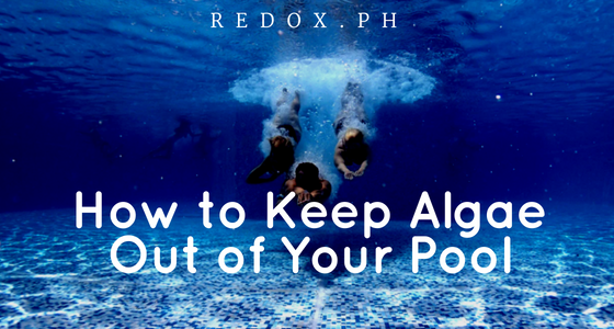 Keep Algae Out of Your Pool